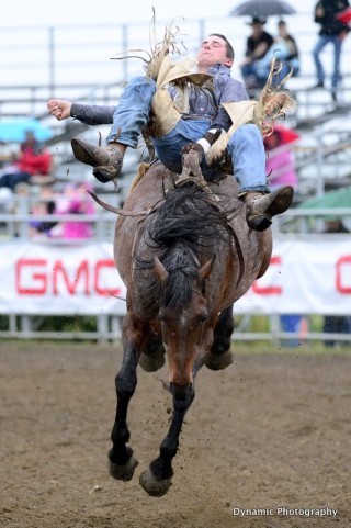 542437_353853701354922_2067242588_n